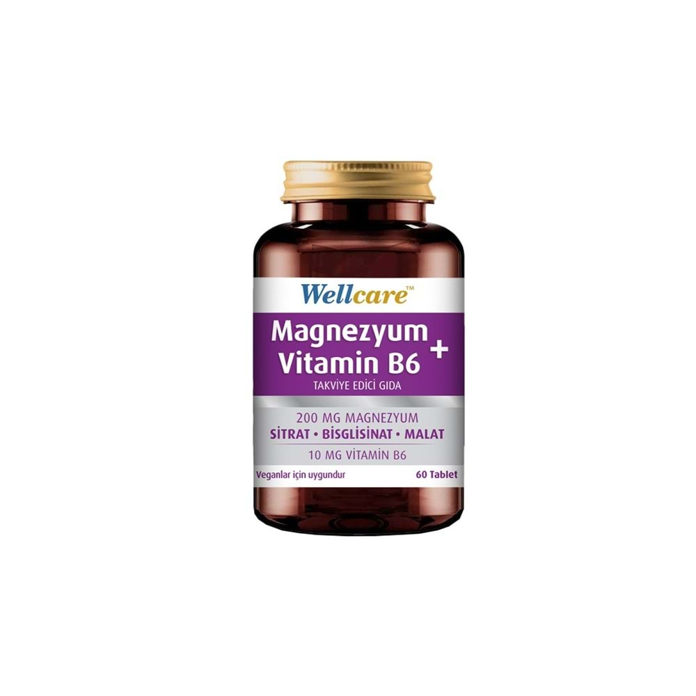 WELLCARE MAGNEZYUM VİTAMİN B6 60 TABLET