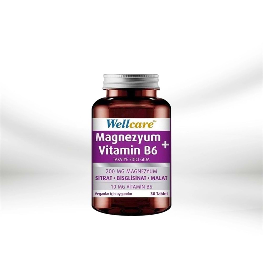 WELLCARE MAGNEZYUM VİTAMİN B6 30 TABLET