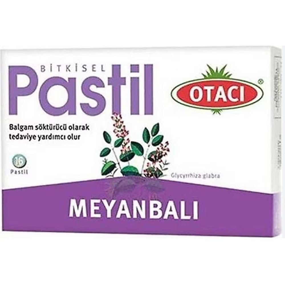 OTACI MEYAN BALI PASTİL 16 ADET