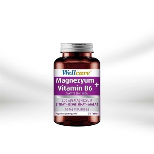 WELLCARE MAGNEZYUM VİTAMİN B6 30 TABLET