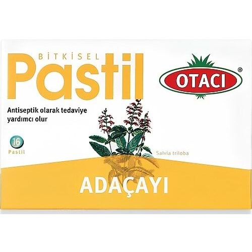 OTACI ADAÇAYI PASTİL 16 ADET