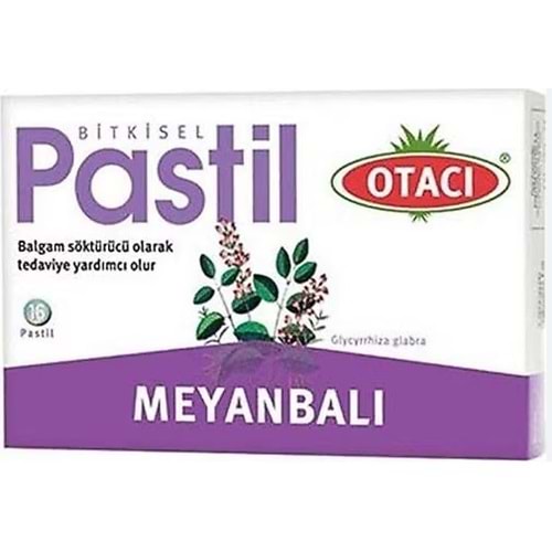 OTACI MEYAN BALI PASTİL 16 ADET