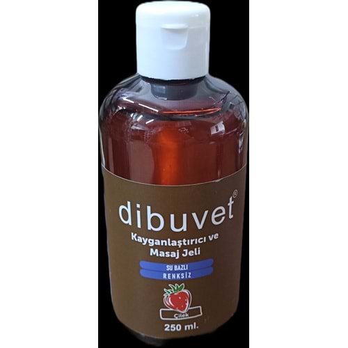 DİBUVET ÇİLEK SU BAZLI KAYGANLAŞTIRICI JEL 250 ML
